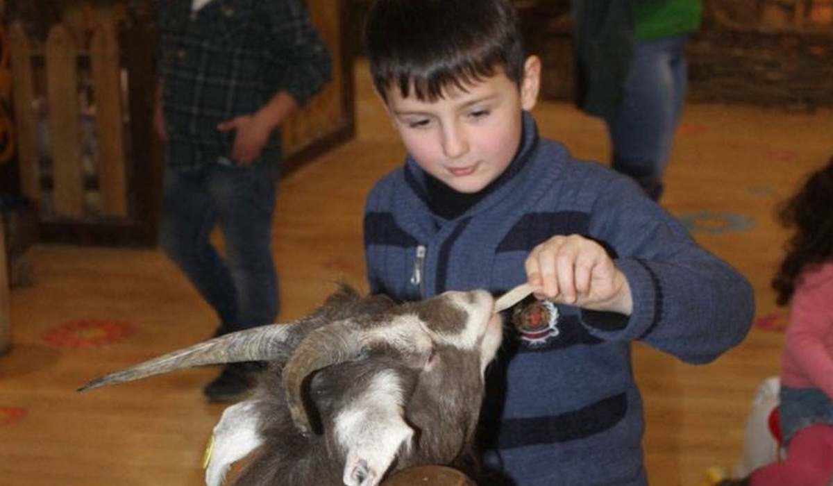 Тбилисский Зоопарк фото 1