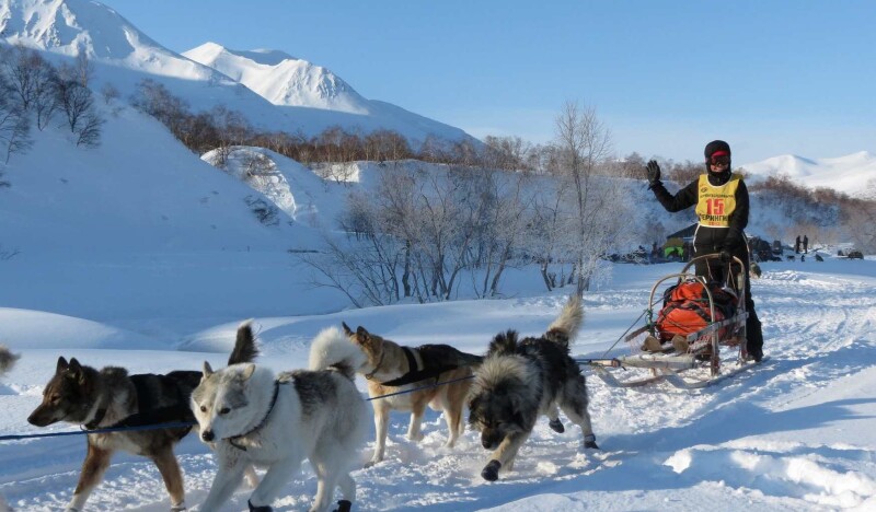 Ферма Хаски