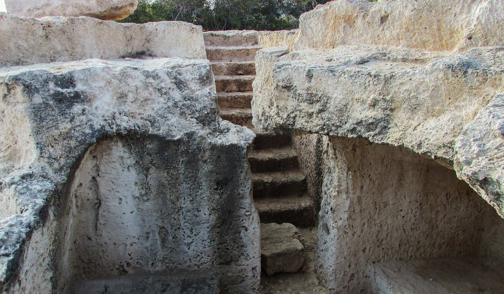 Хирокития фото 1