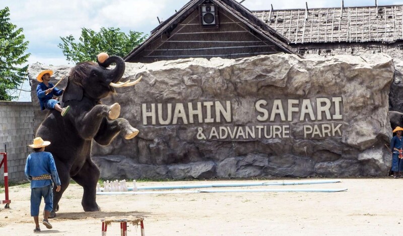 Hua Hin Safari and Adventure Park
