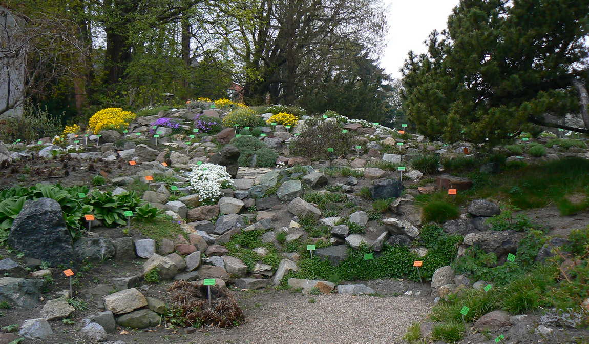 ботанический сад вроцлава фото 2