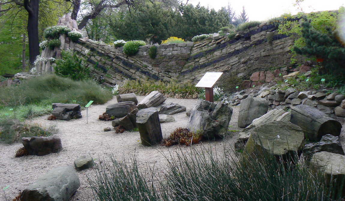 ботанический сад вроцлава фото 3