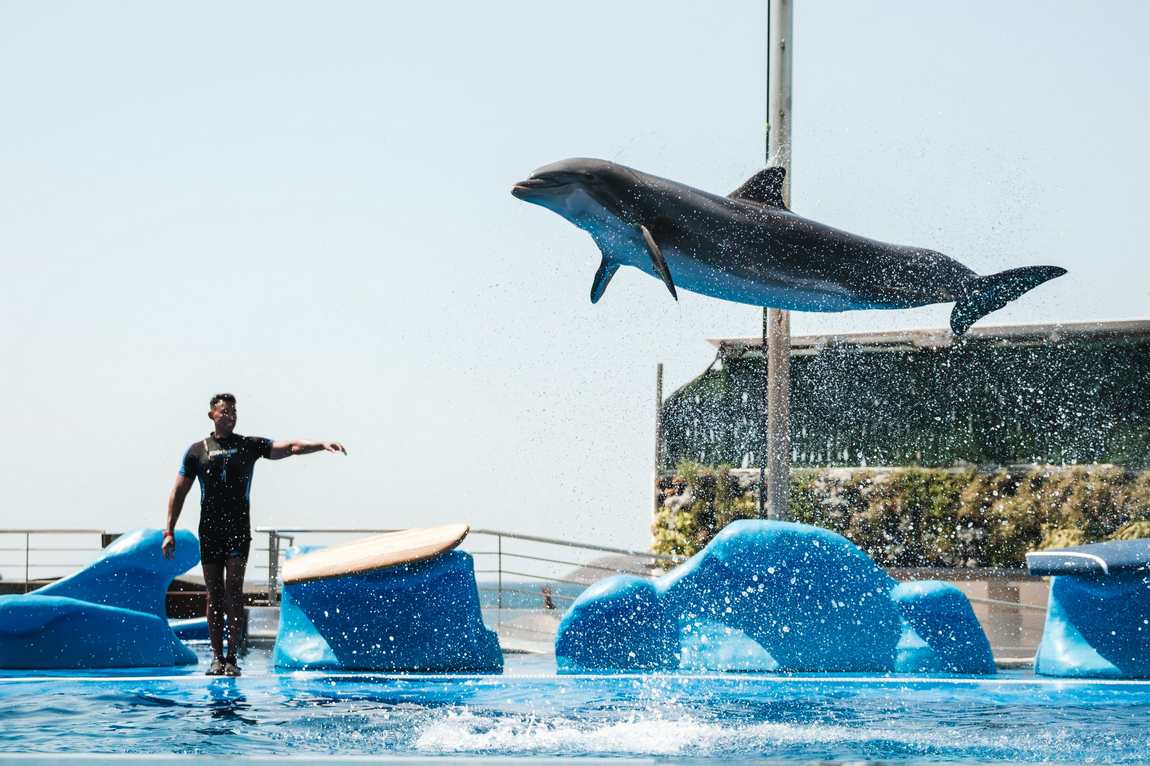 marineland photo 2