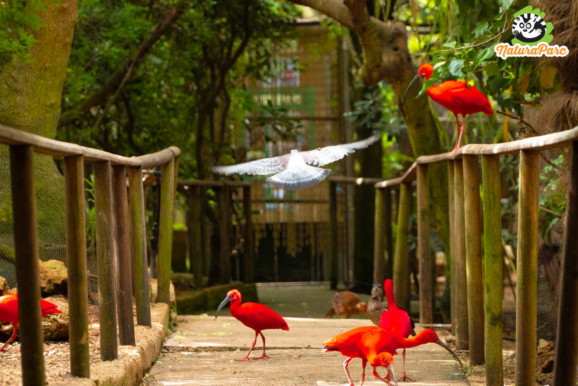 natura park photo 1