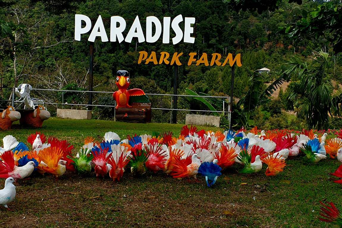 парадайз парк на самуи (paradise park farm) фото 2