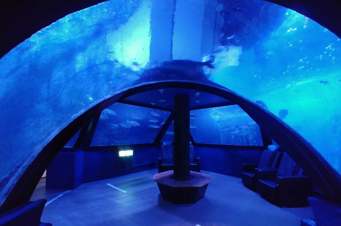 аквариум sea life фото 1