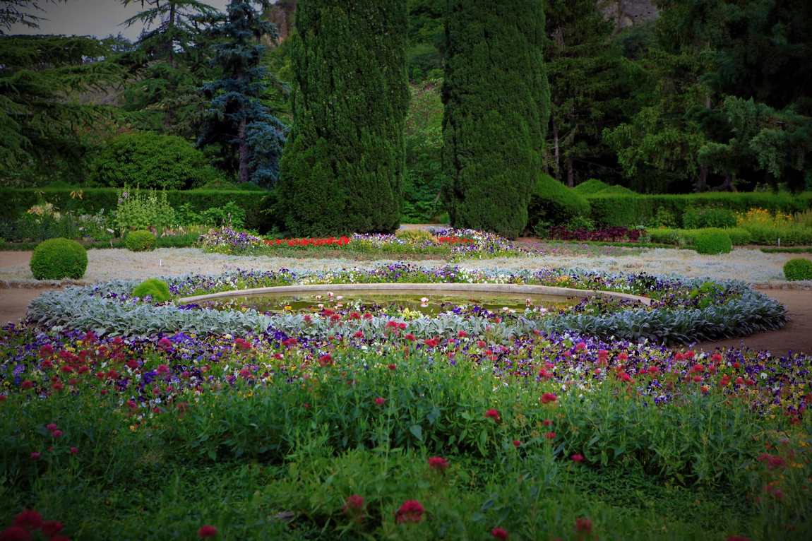 тбилисский ботанический сад фото 1