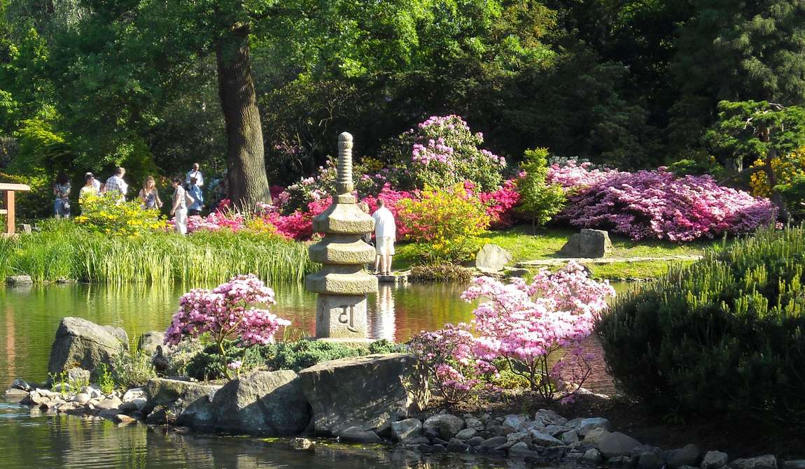 японский сад фото 1