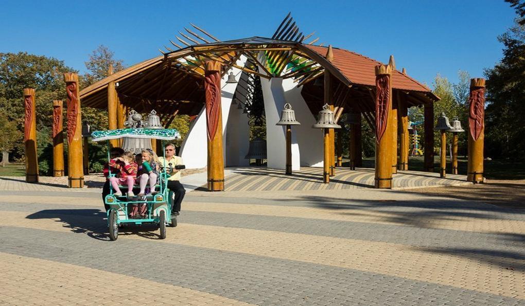 Экскурсионный Паровозик в Хайдусобосло фото 1