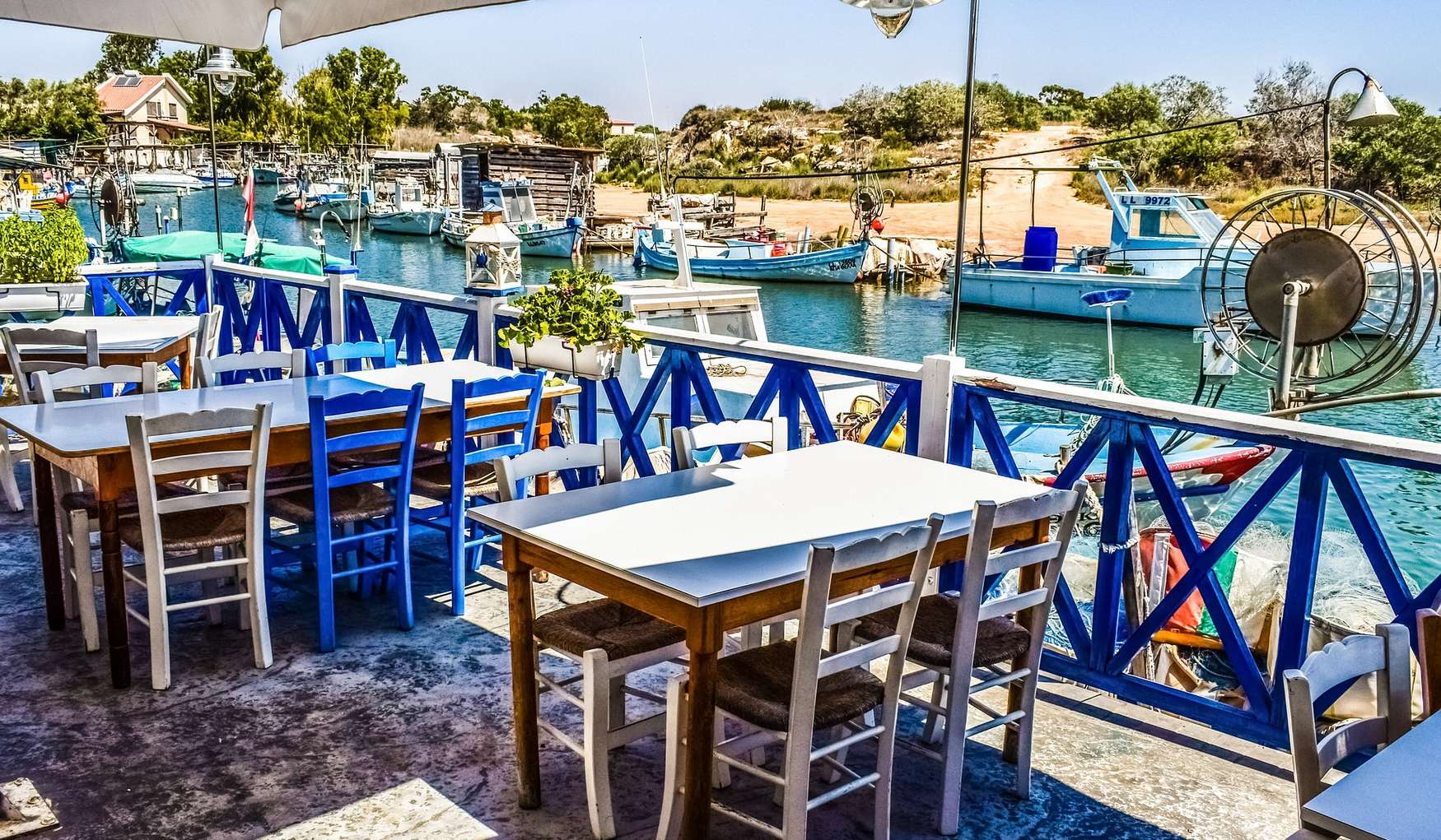 Лиопетри фото 1