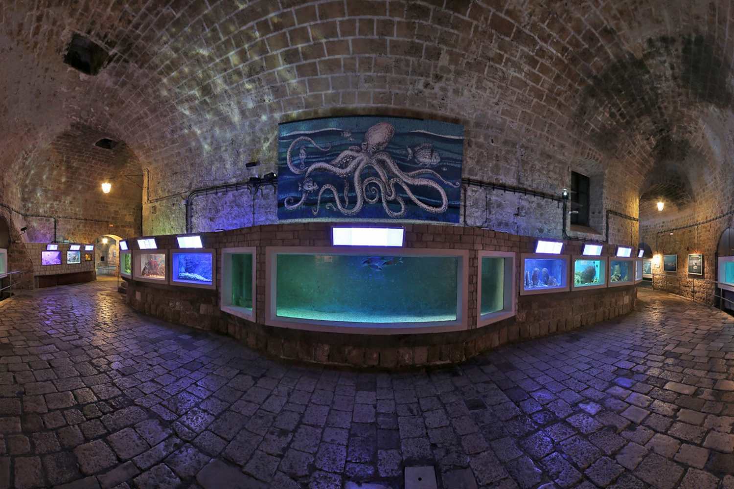 Морской Музей и Аквариум фото 1