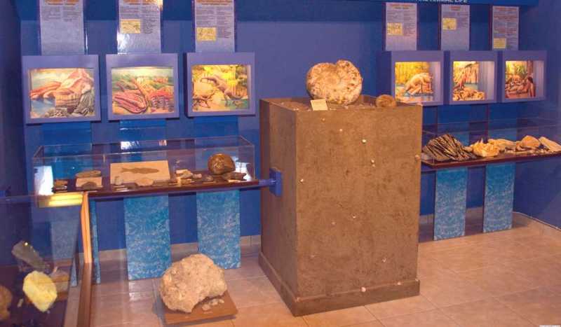 Музей Естественной Истории Хелмис