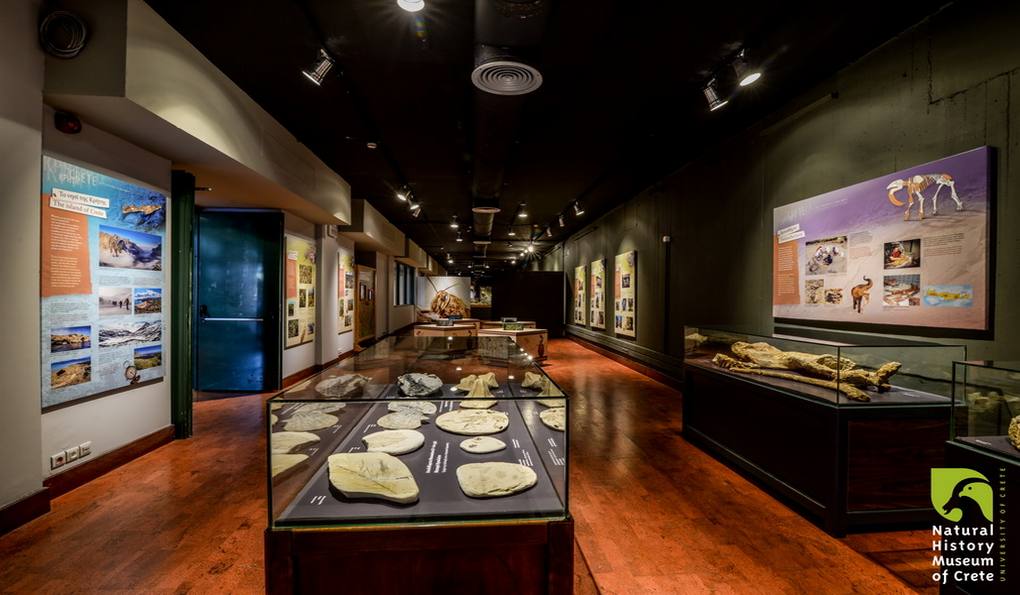Музей Естественной Истории Крита фото 1