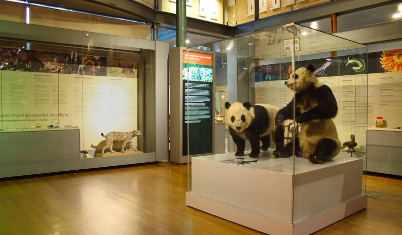 National Museum of Natural Sciences