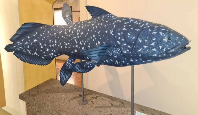 Музей Природы и Человека