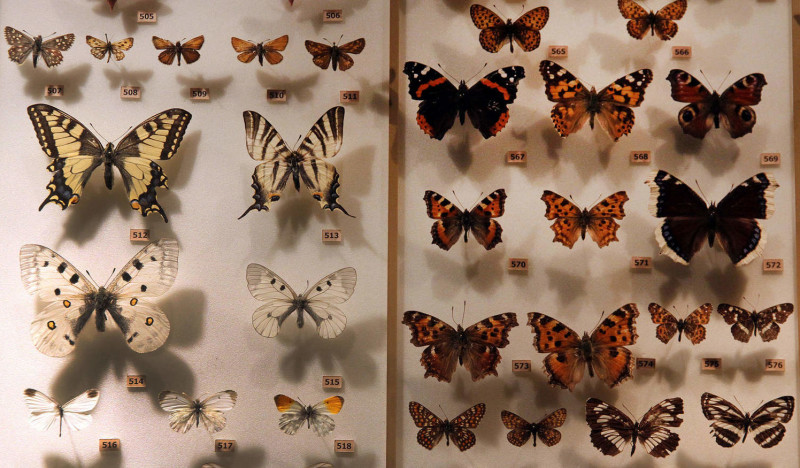 Музей Природы Урала