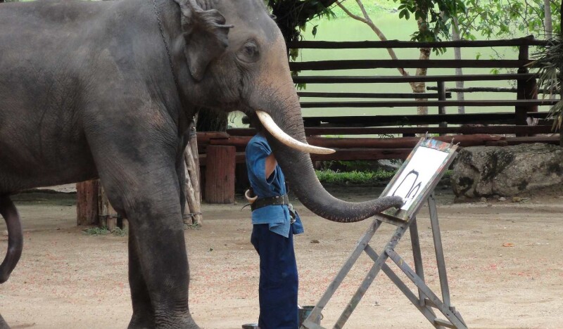 Namuang Safari Park