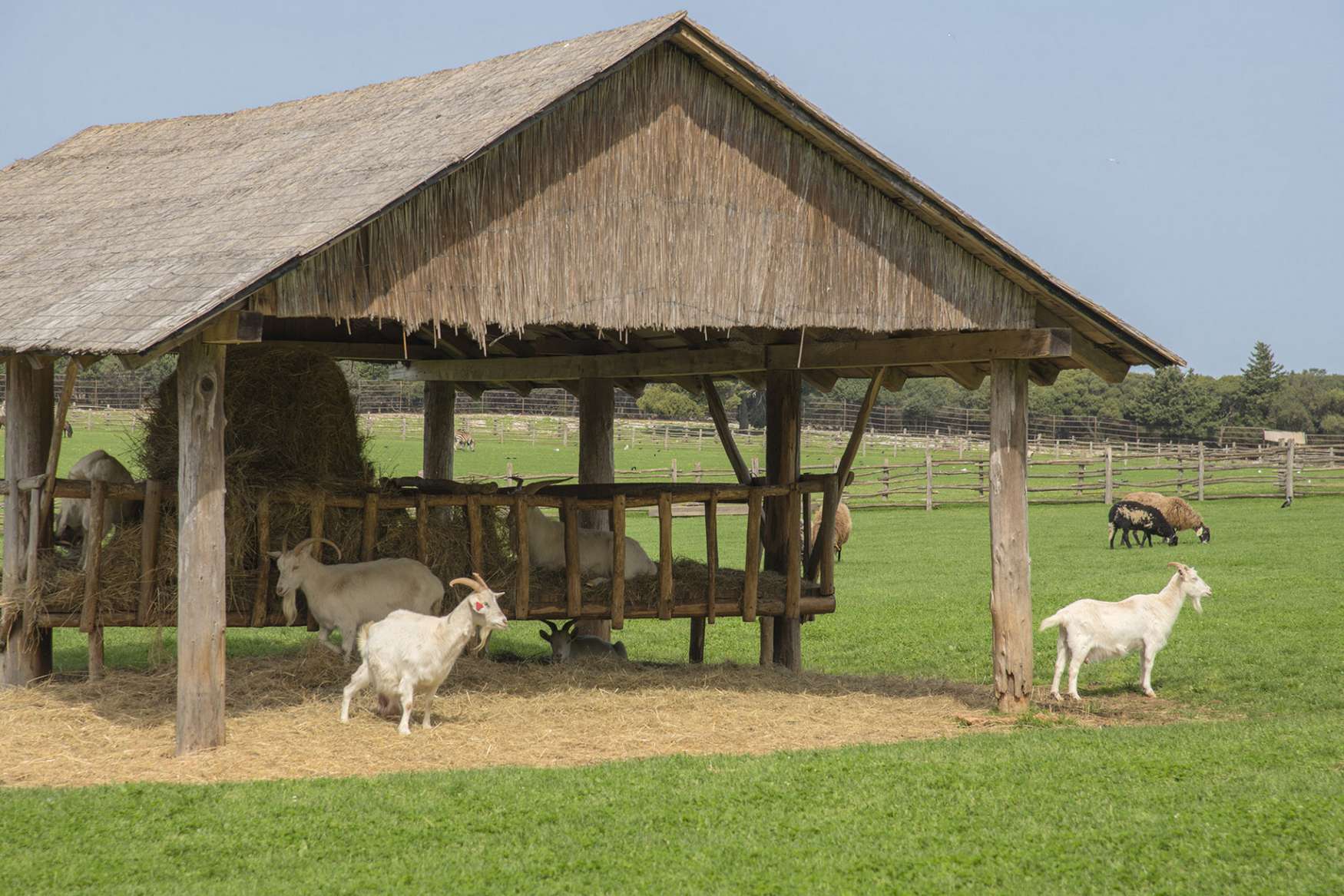 Национальный Парк Бриони фото 1