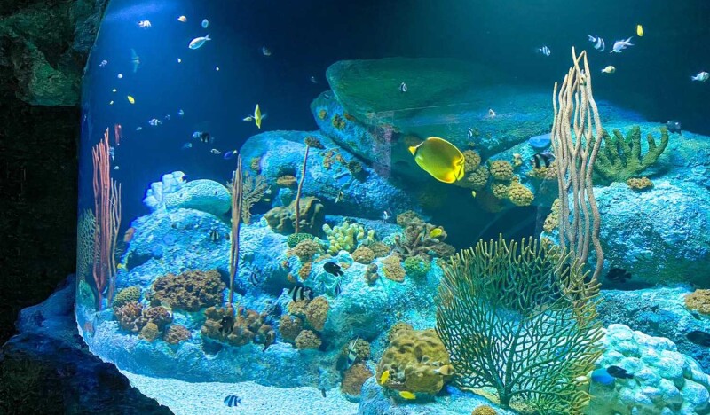 Океанариум Underwater World Pattaya
