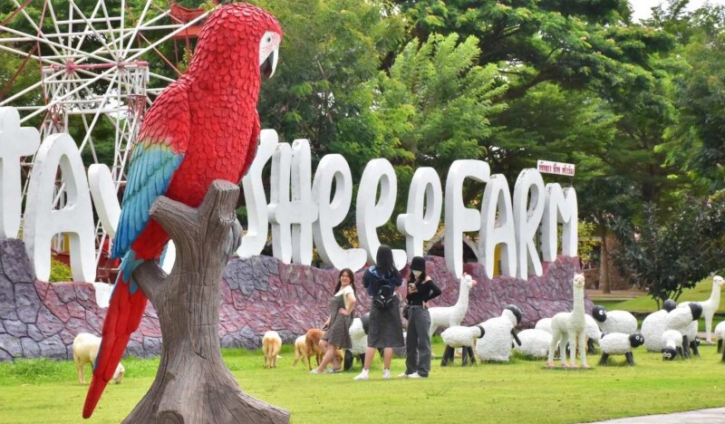 Овечья Ферма в Паттайе