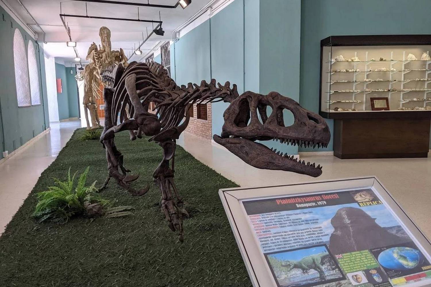Палеонтологический Музей Эстепоны
