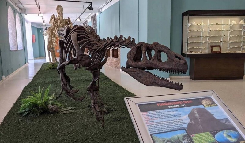Paleontological Museum of Estepona