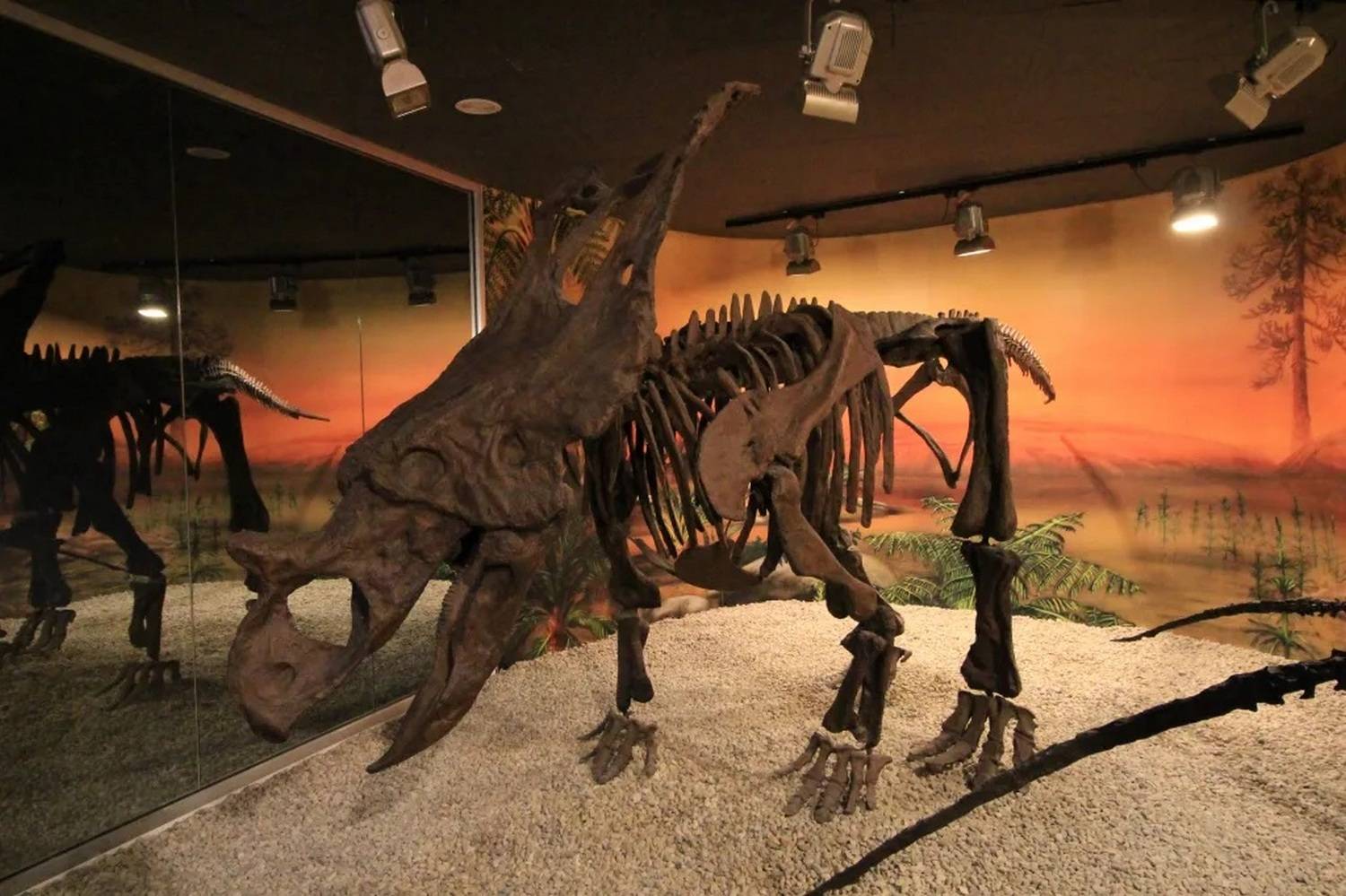 Палеонтологический Музей в Эльче