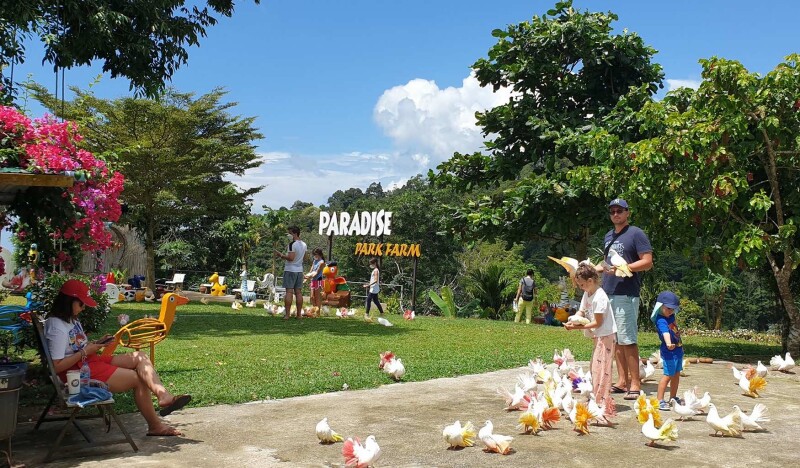 Парадайз Парк на Самуи (Paradise Park Farm)