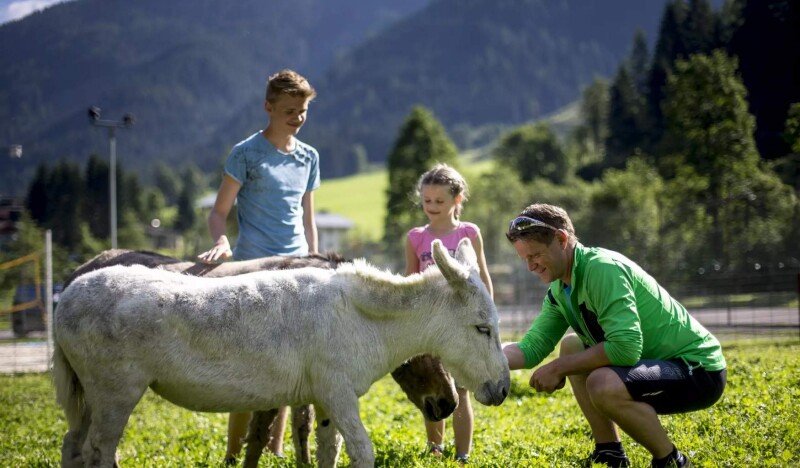 Wildlife Park Untertauern