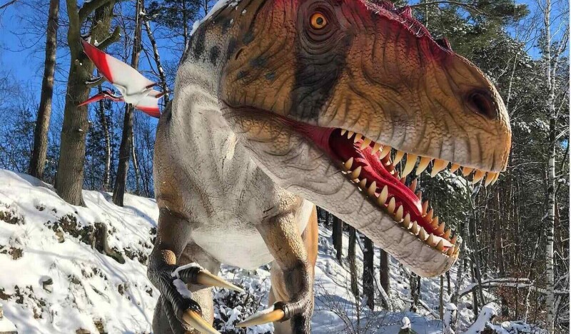 Dino Park Münchehagen