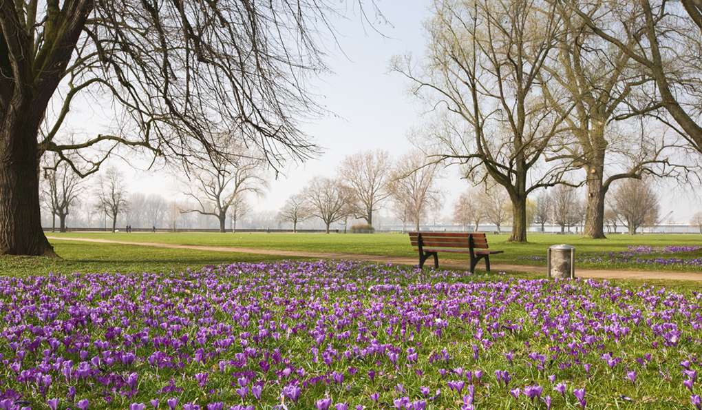 Парк Hofgarten фото 1