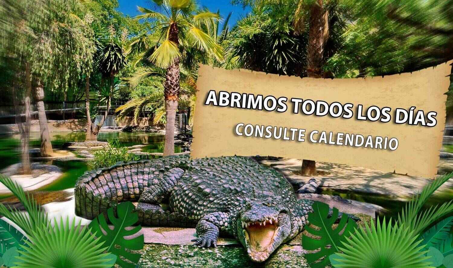Парк Крокодилов в Торремолиносе