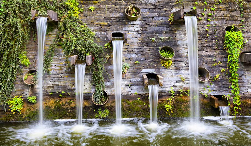 Парк Planten un Blomen фото 1