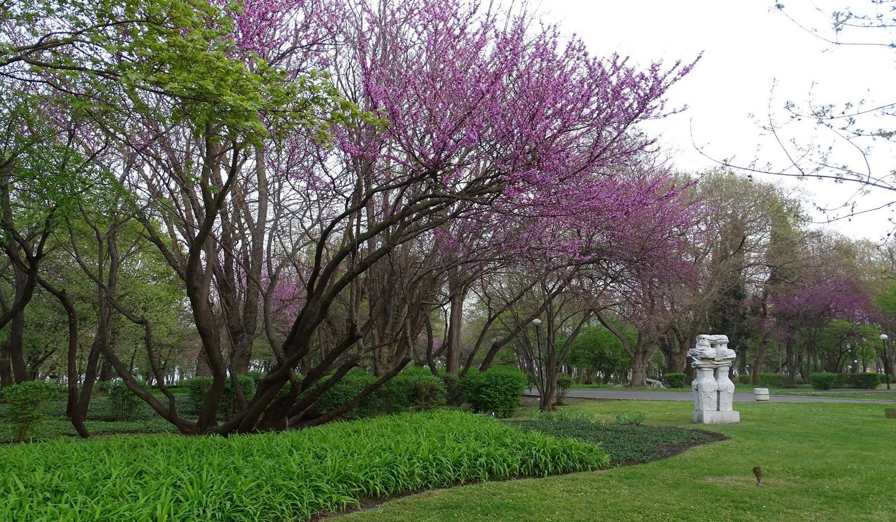 Приморский Парк в Бургасе фото 1