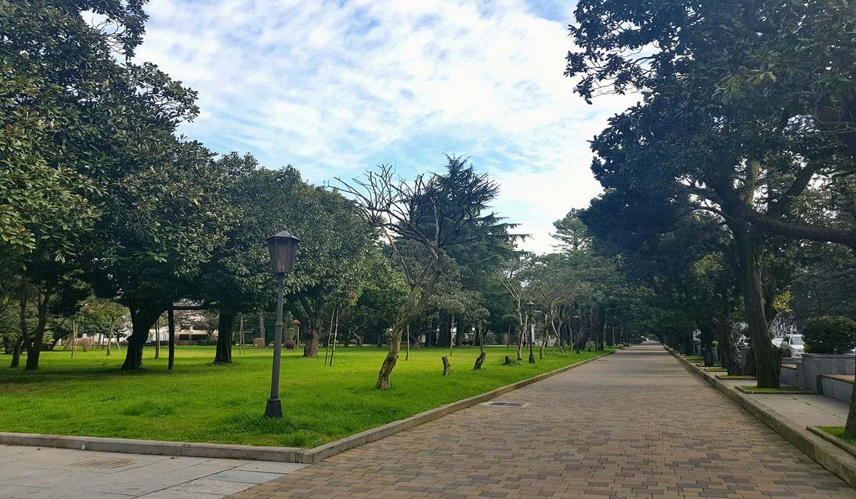 Приморский парк фото 1