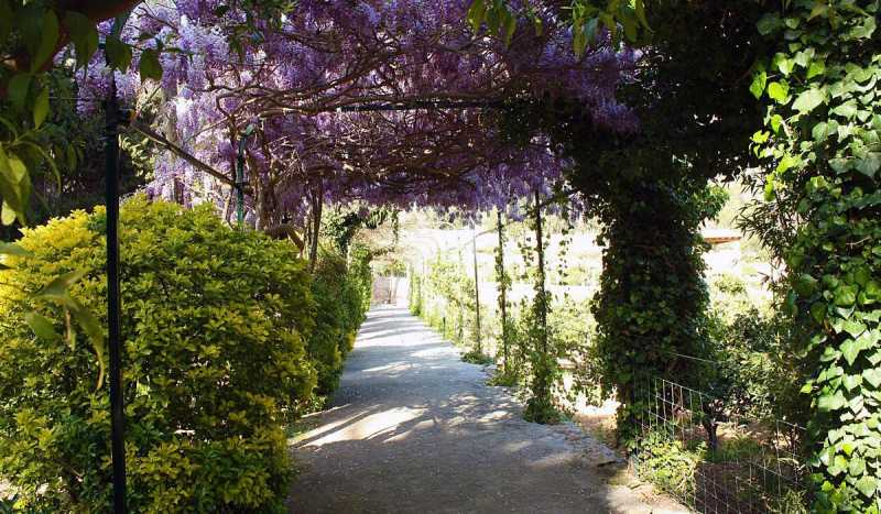 Сады Альфабия (Jardines dAlfabia)