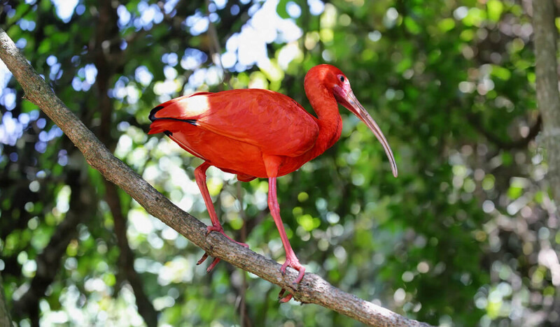 Сафари-Парк La Reserva