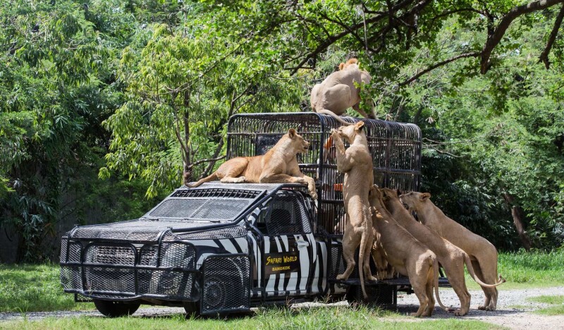 Safari World