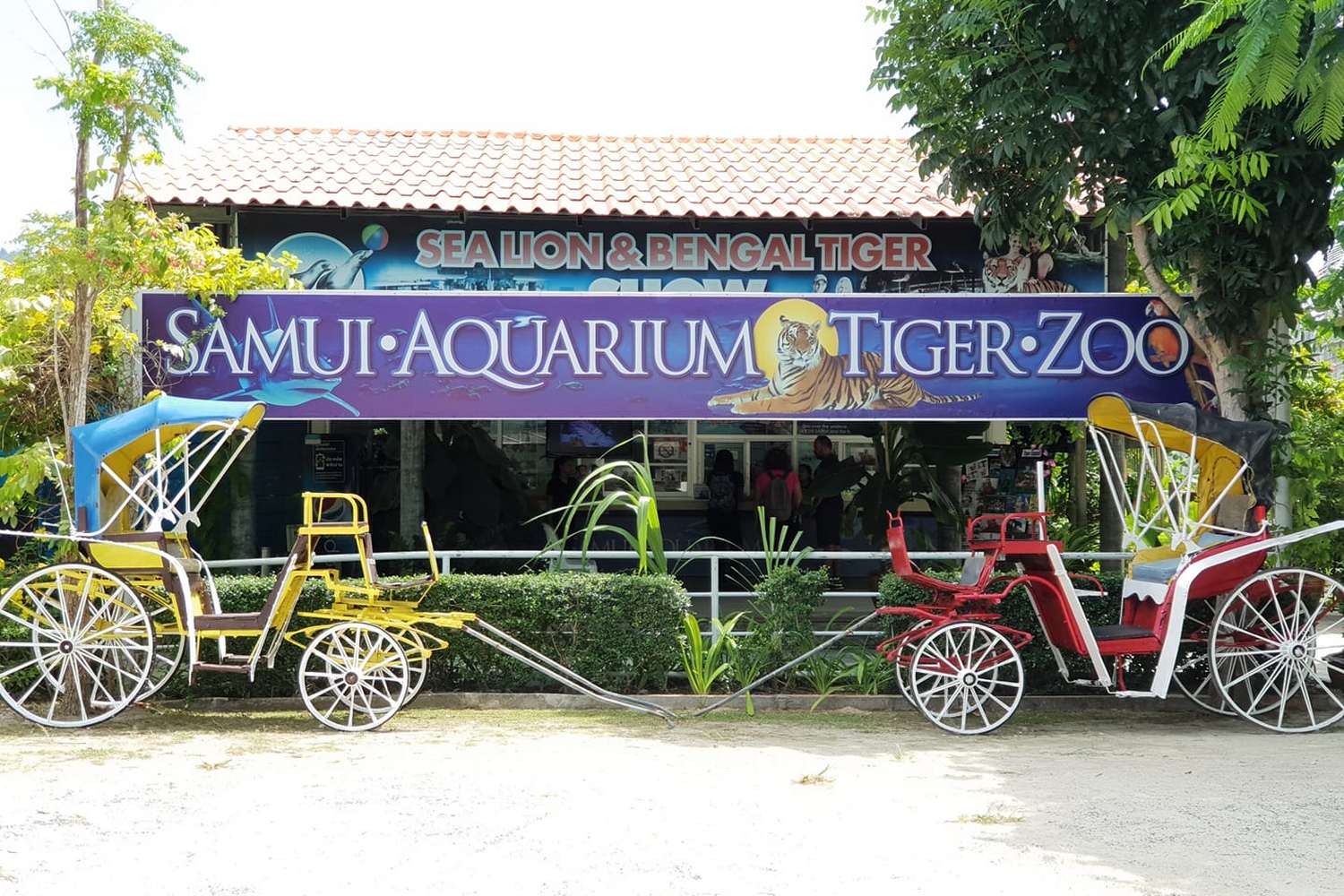 Samui Aquarium and Tiger Zoo