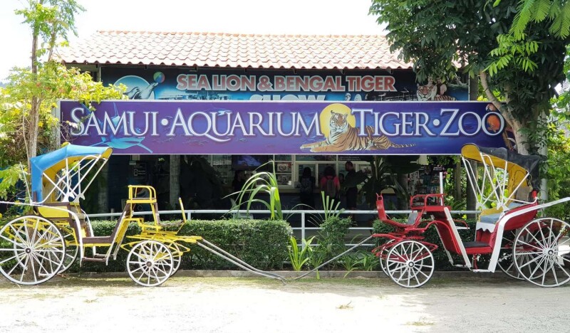 Samui Aquarium and Tiger Zoo