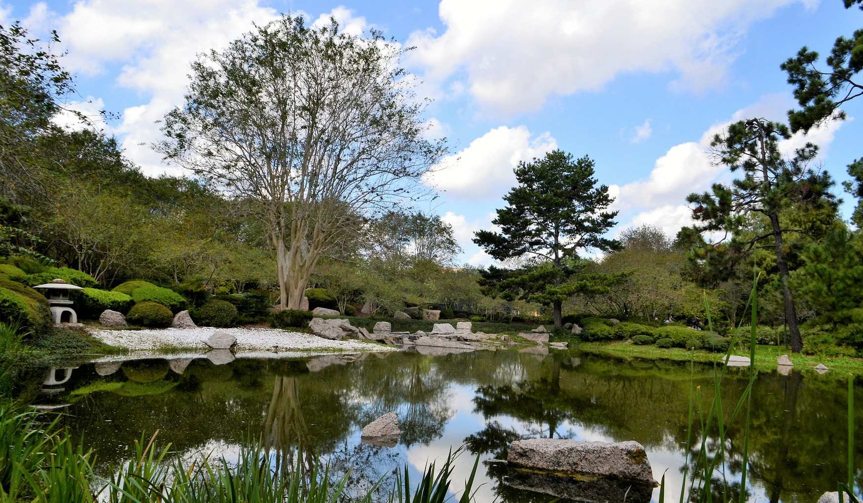 Японский Сад фото 1