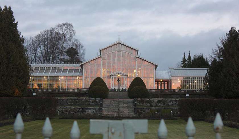 Зимний Сад Хельсинки фото 1