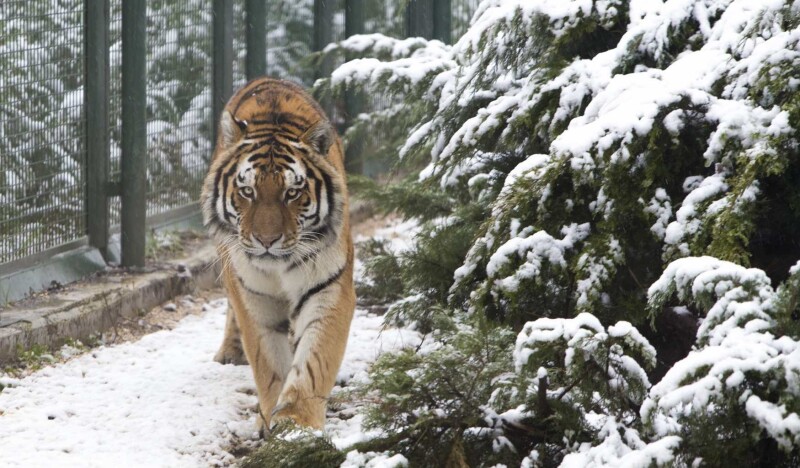 Зоопарк Бурсы