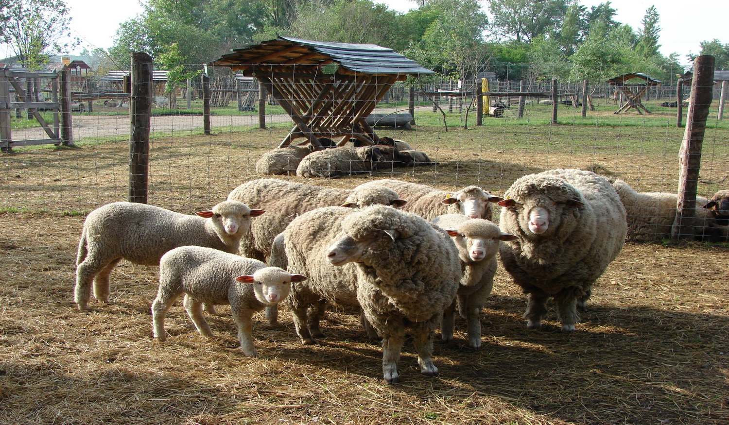 Зоопарк Festetics Imre Allatpark фото 1