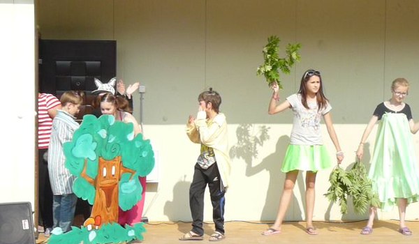 Альбатрос фото 1