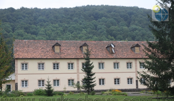 Белочка фото 1