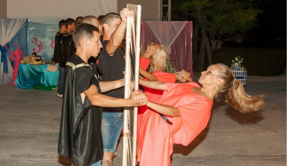 Чайка фото 1