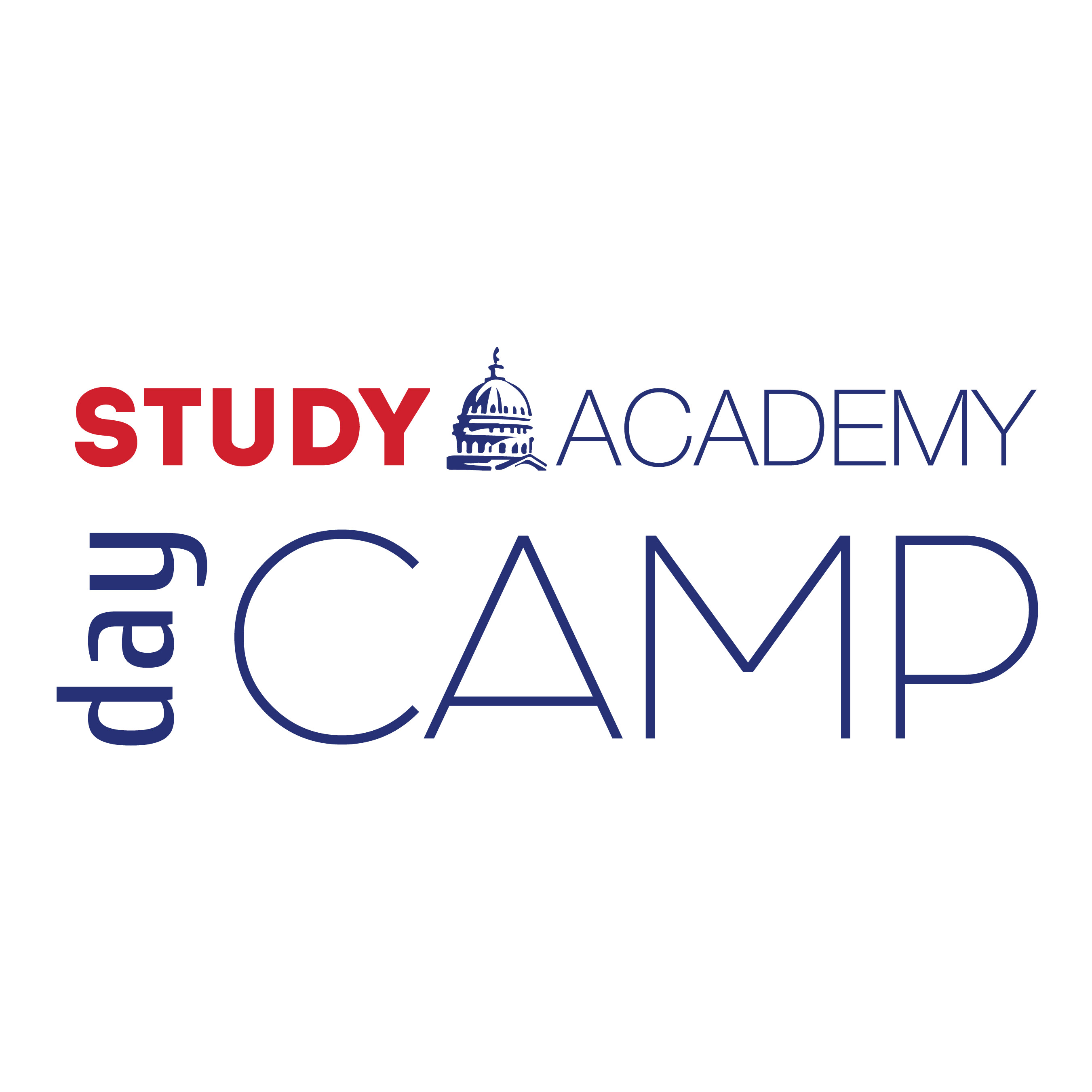 Day Camp — дневной лагерь от STUDY Academy