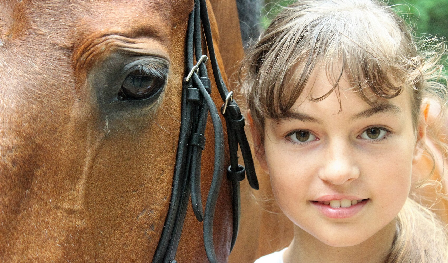 Солнечный Остров конный туристический лагерь фото 1