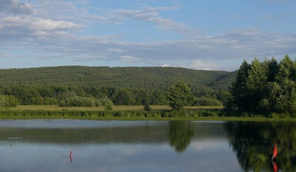 ДОЛ Энергетик фото 1